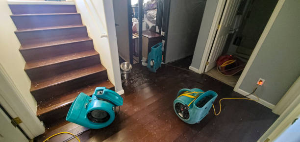 Best Flooded house restoration  in Medina, OH