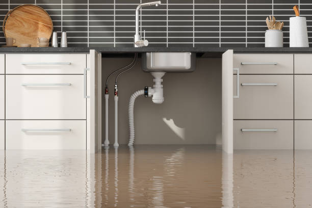 Best Flooded house restoration  in Medina, OH