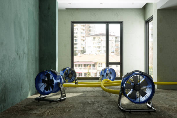 Best Sewage cleanup and water damage restoration  in Medina, OH